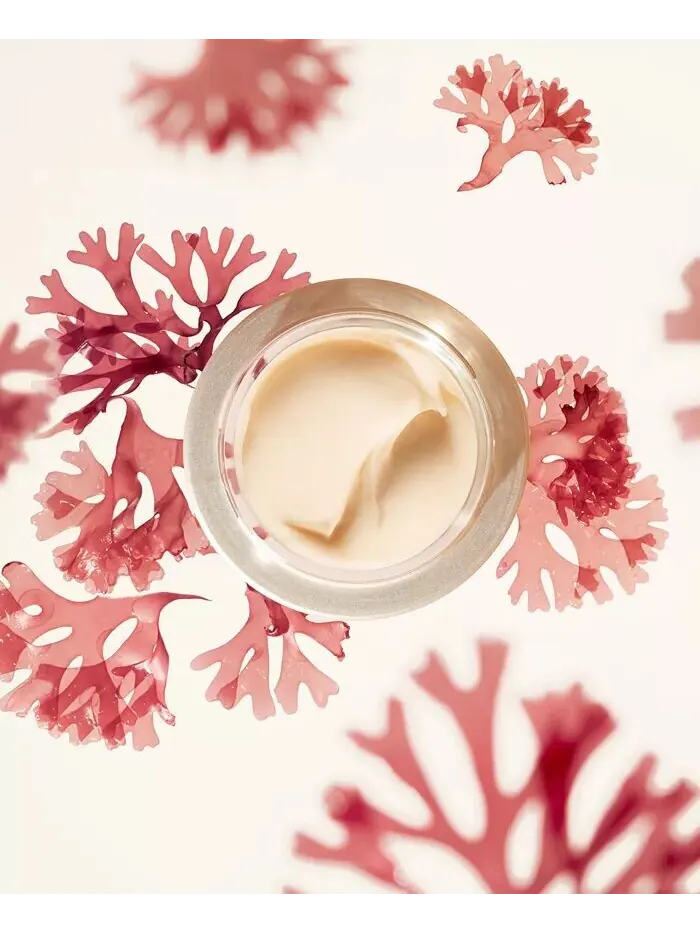 Крем для лица Shiseido — Обогащенный для разглаживания морщин Benefiance — изображение 9 из 10