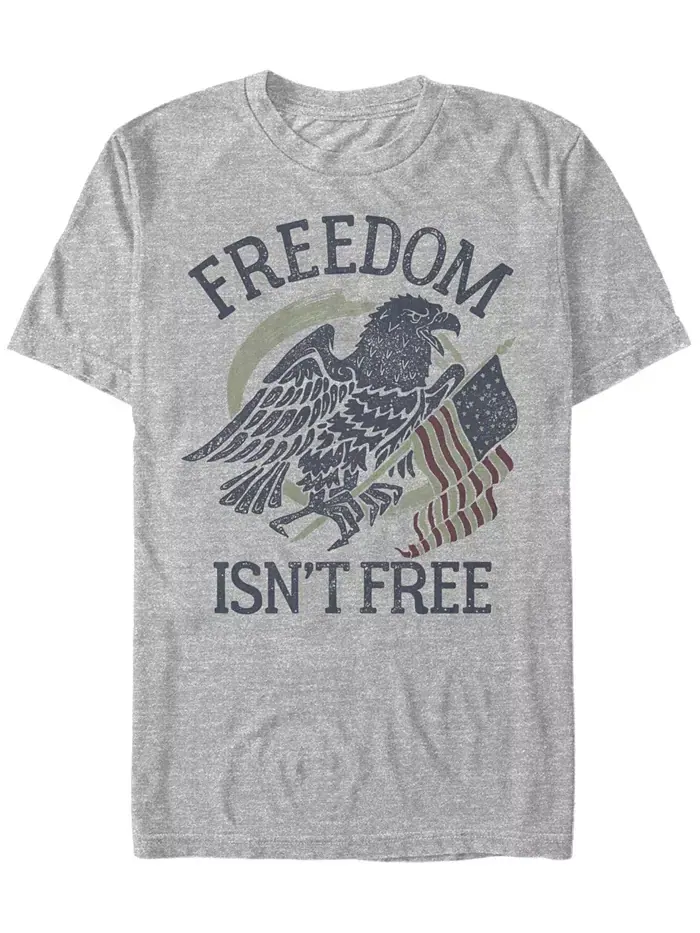 Мужская футболка с коротким рукавом Freedom Eagles Fifth Sun — серый