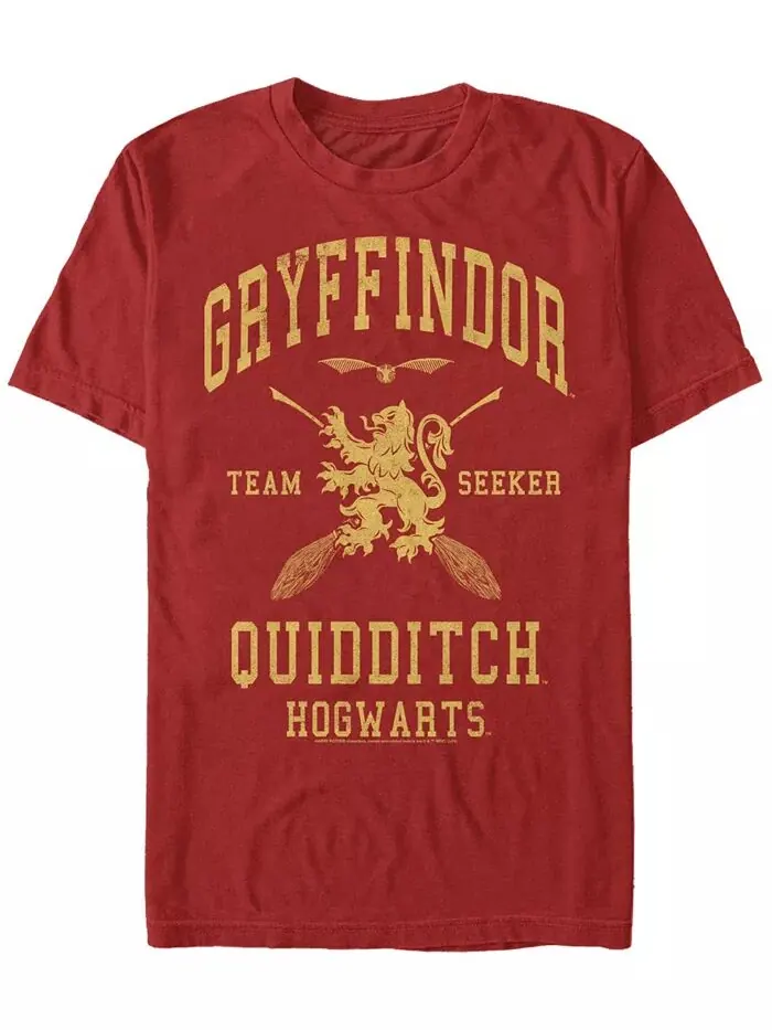Мужская футболка с коротким рукавом Gryffindor Seeker Crew Fifth Sun — изображение 1 из 1, красный