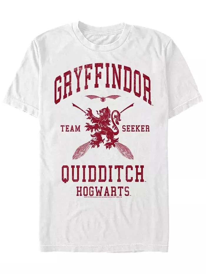 Мужская футболка с коротким рукавом Gryffindor Seeker Crew Fifth Sun — изображение 1 из 1, прозрачный