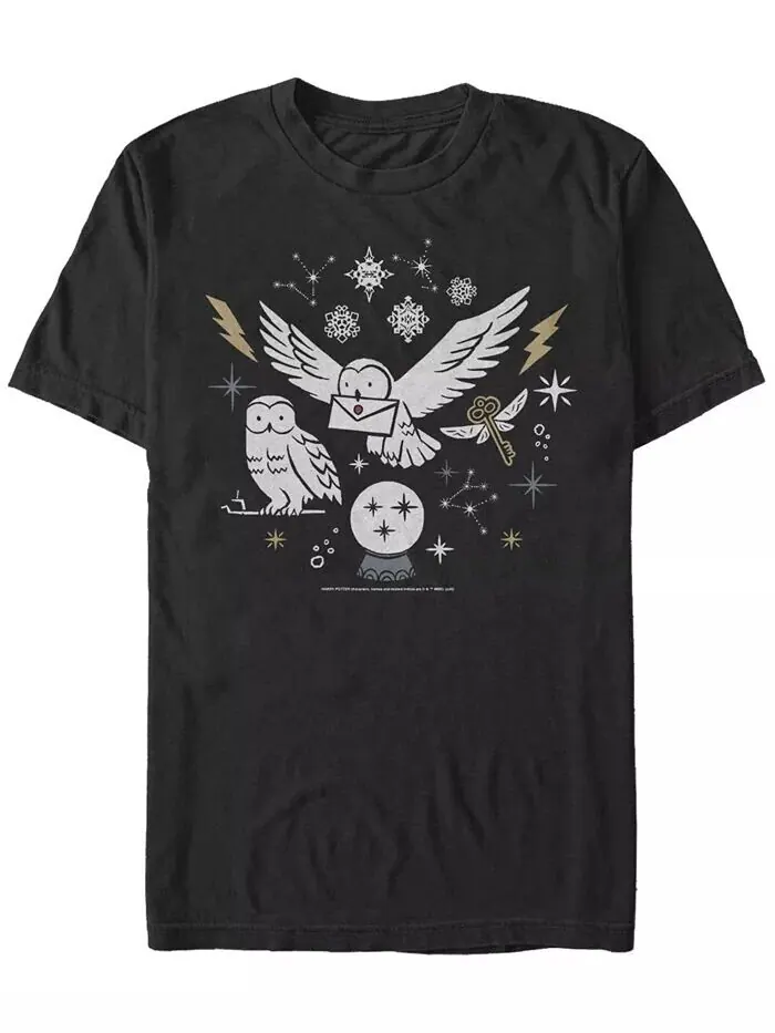 Мужская футболка Wintery Owls с коротким рукавом и круглым вырезом Fifth Sun — черный