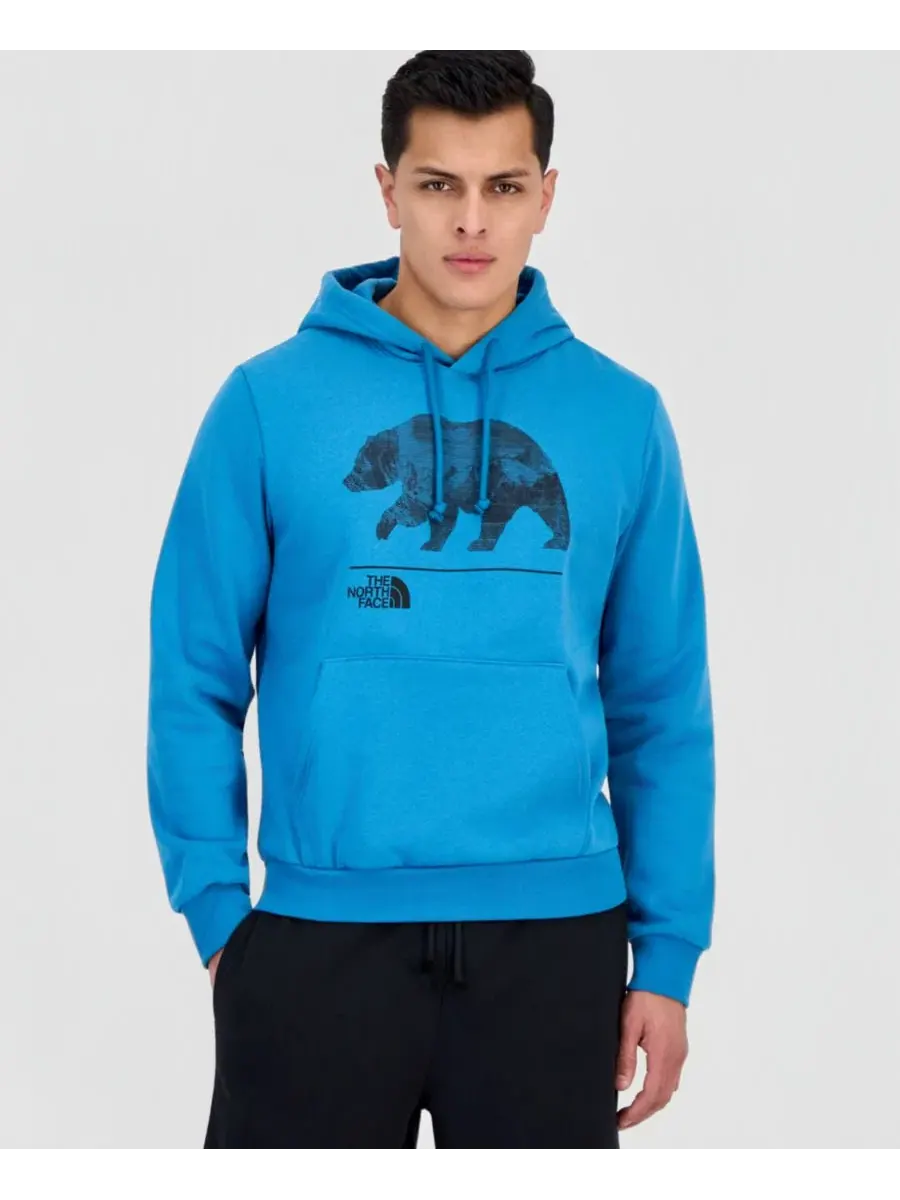 Мужская толстовка Evolution Mountain Bear The North Face, стальной