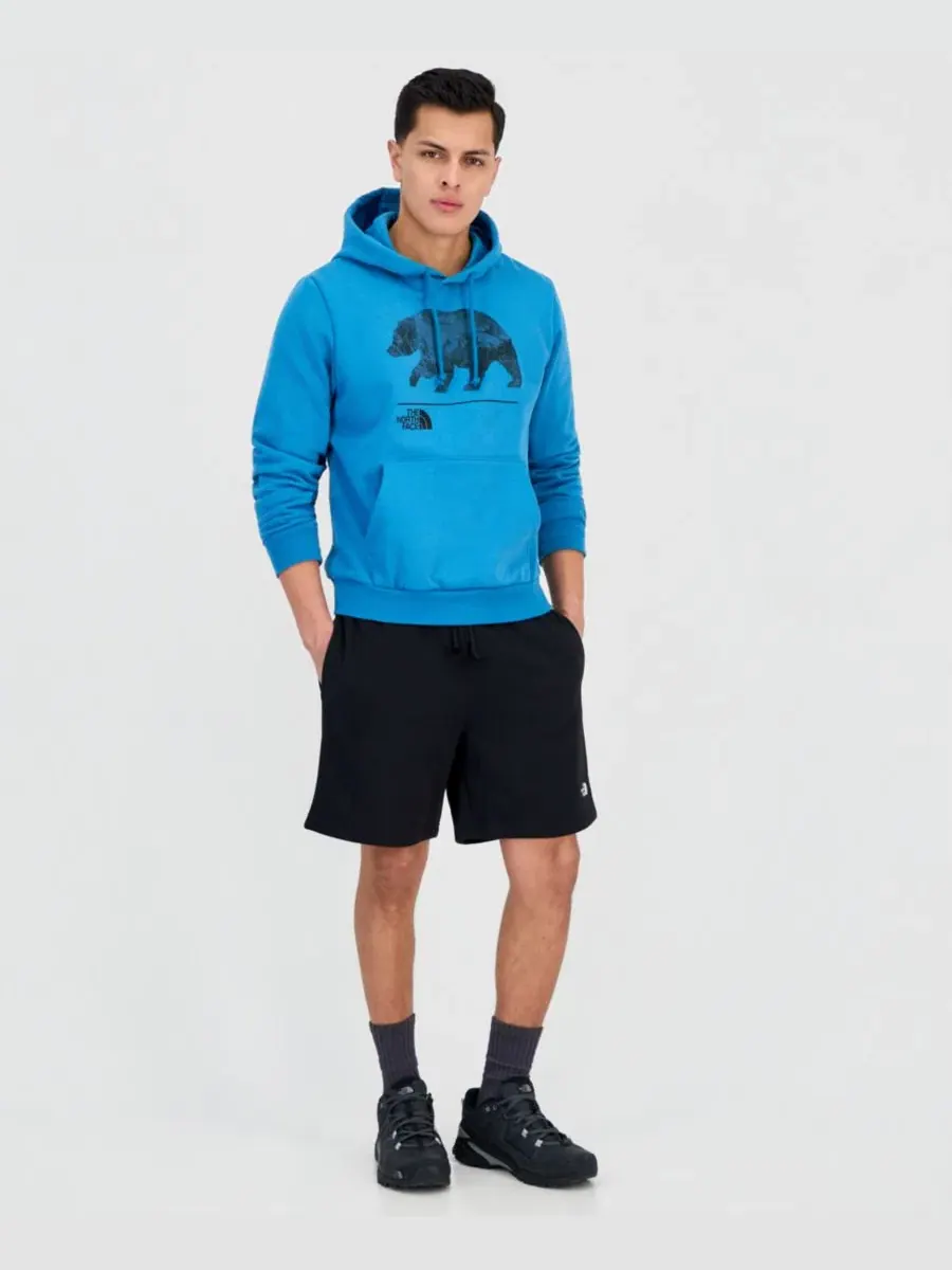 Мужская толстовка Evolution Mountain Bear The North Face, стальной — изображение 2 из 4