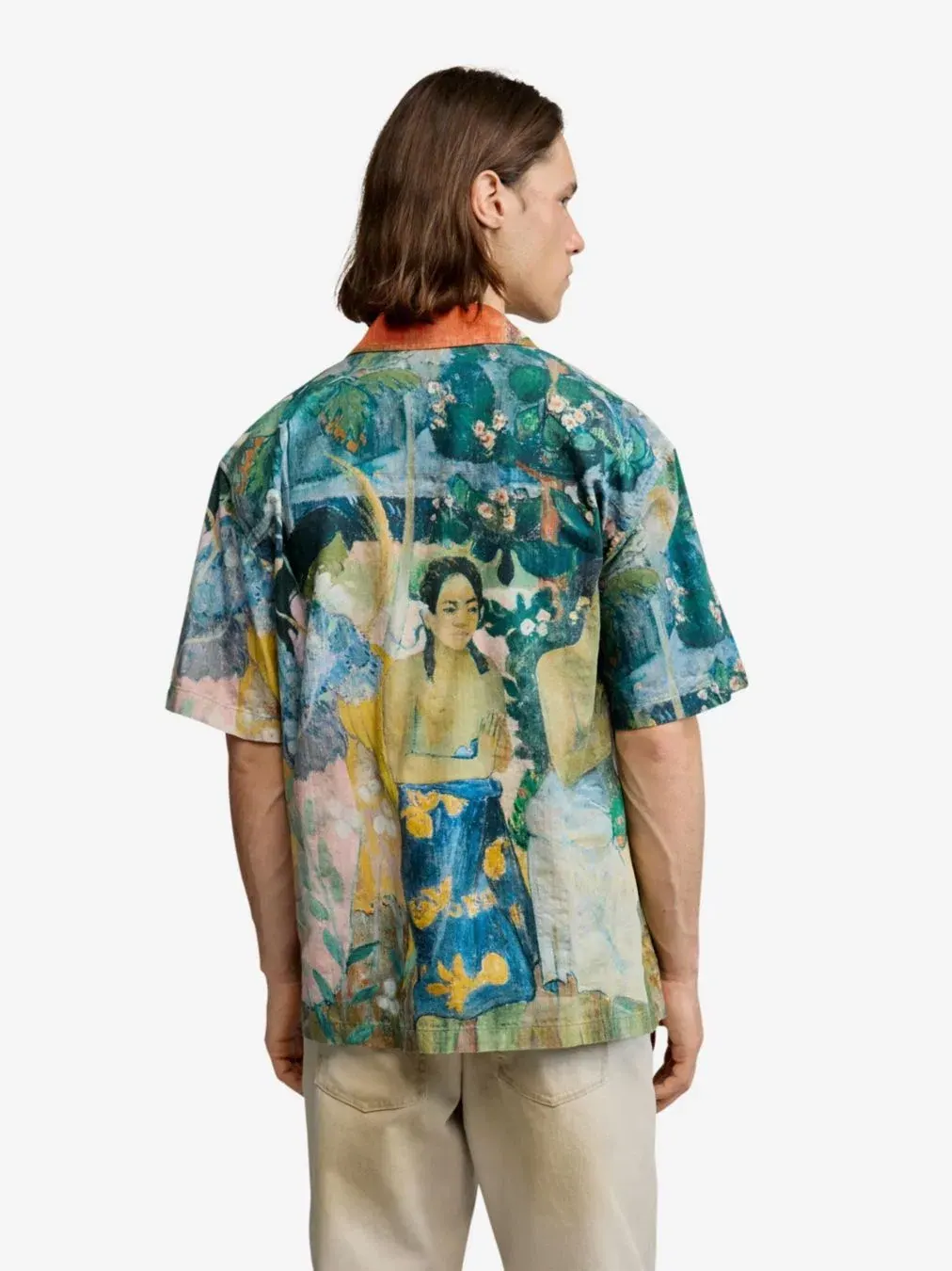 Мужская рубашка Gaugin с принтом Desigual — изображение 5 из 6, бежевый