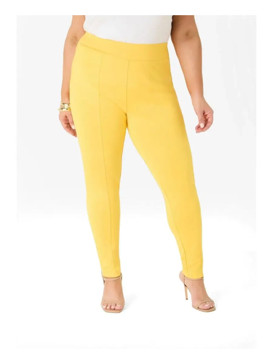 Леггинсы с декоративными швами, Plus Sizes Seamed Ponte Ashley Stewart