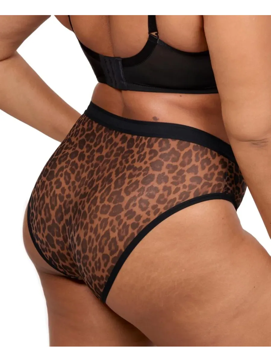 Женские трусы-слип из сетки с высоким вырезом, модель Designer Leo Curvy Couture, Designer Leo — изображение 4 из 4