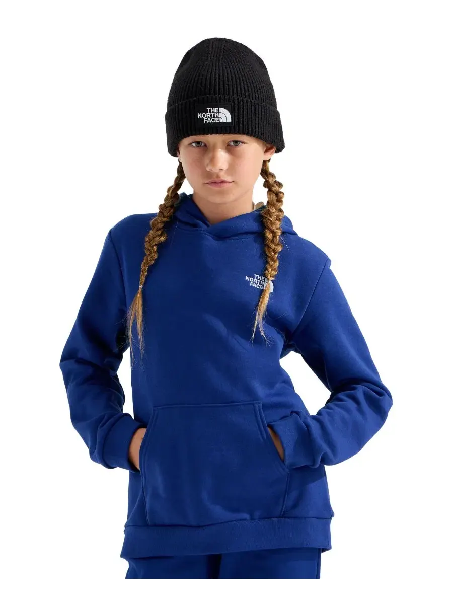 Детский худи с капюшоном и длинным рукавом Evolution Simple Dome The North Face — изображение 2 из 3, синий