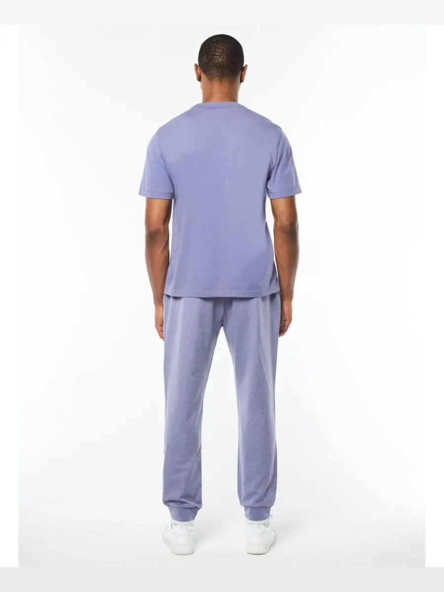 Мужская футболка с принтом Vincere Sergio Tacchini, Heron — изображение 3 из 5
