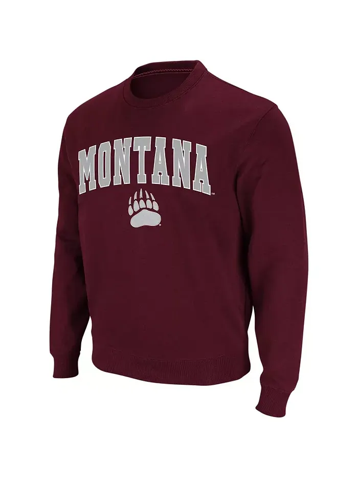 Мужской свитшот с круглым вырезом Montana Grizzlies с аркой и логотипом Colosseum — изображение 4 из 4, серый