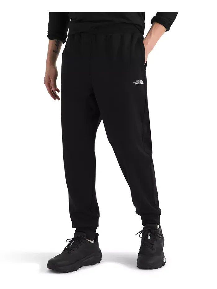 Мужские спортивные брюки из флиса The North Face