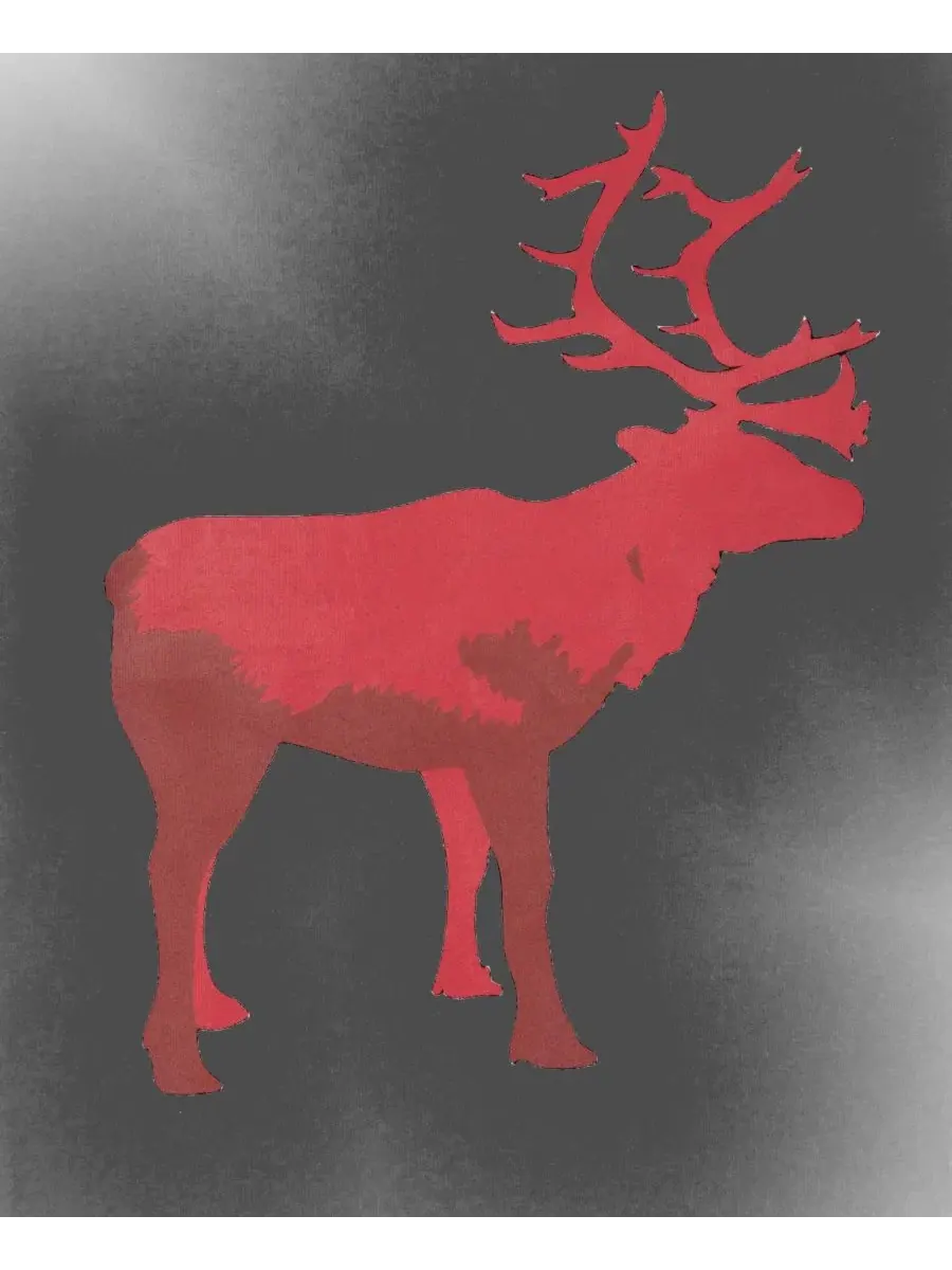 Комплект пижам с хлопковым топом и флисовыми штанами, с принтом Reindeer Leveret — изображение 2 из 3, черный белый