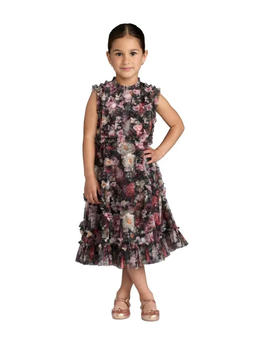 Платье для девочек без рукавов с рюшами и принтом Big Girls 2-14 Sleeveless Mesh Ruffle High Neck
