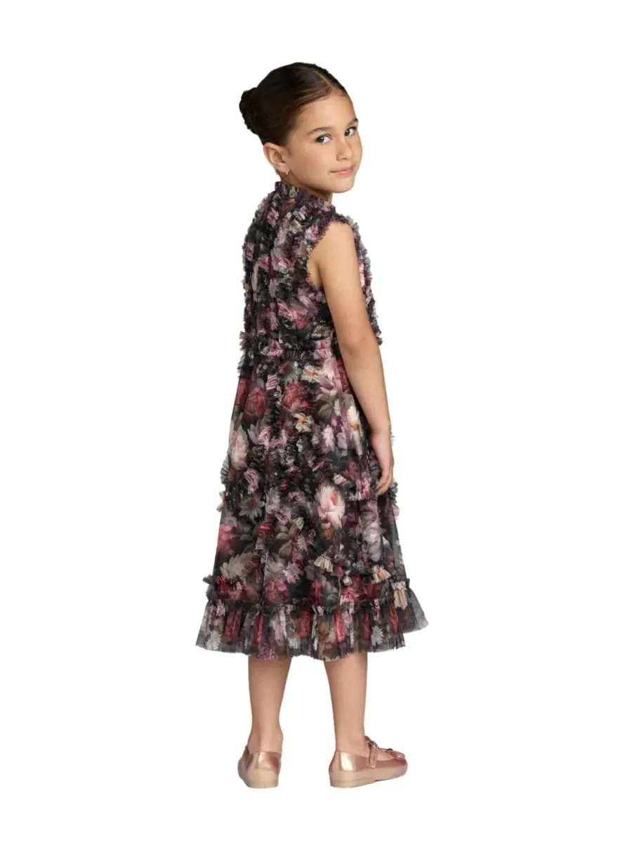 Платье для девочек без рукавов с рюшами и принтом Big Girls 2-14 Sleeveless Mesh Ruffle High Neck — изображение 2 из 3