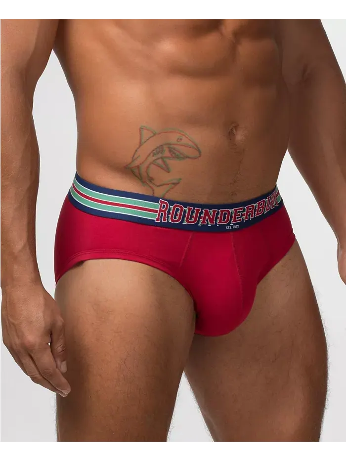Мужские трусы VARSITY Package Brief 5-Pack Rounderbum — изображение 4 из 10, мульти