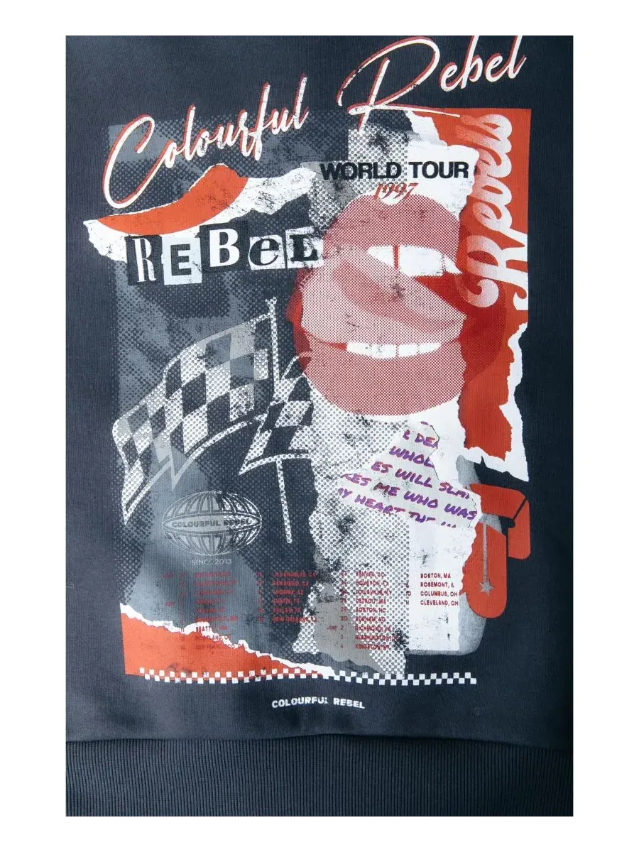 Свитшот женский свободного кроя Collage Relaxed Sweat Colourful Rebel — изображение 4 из 4, черный