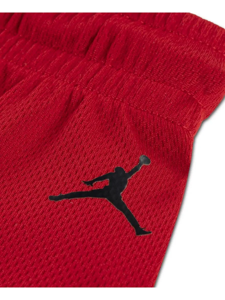Детские шорты из сетчатой ткани Arch Mesh, размер 4-7X Jordan — изображение 5 из 5, красный
