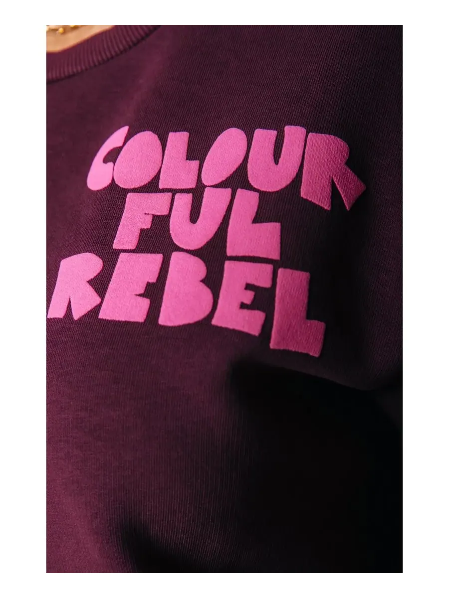 Colourful Rebel Женская веломакияж Logo Wave Puff Relaxed Sweat Port Red — изображение 4 из 4, красный