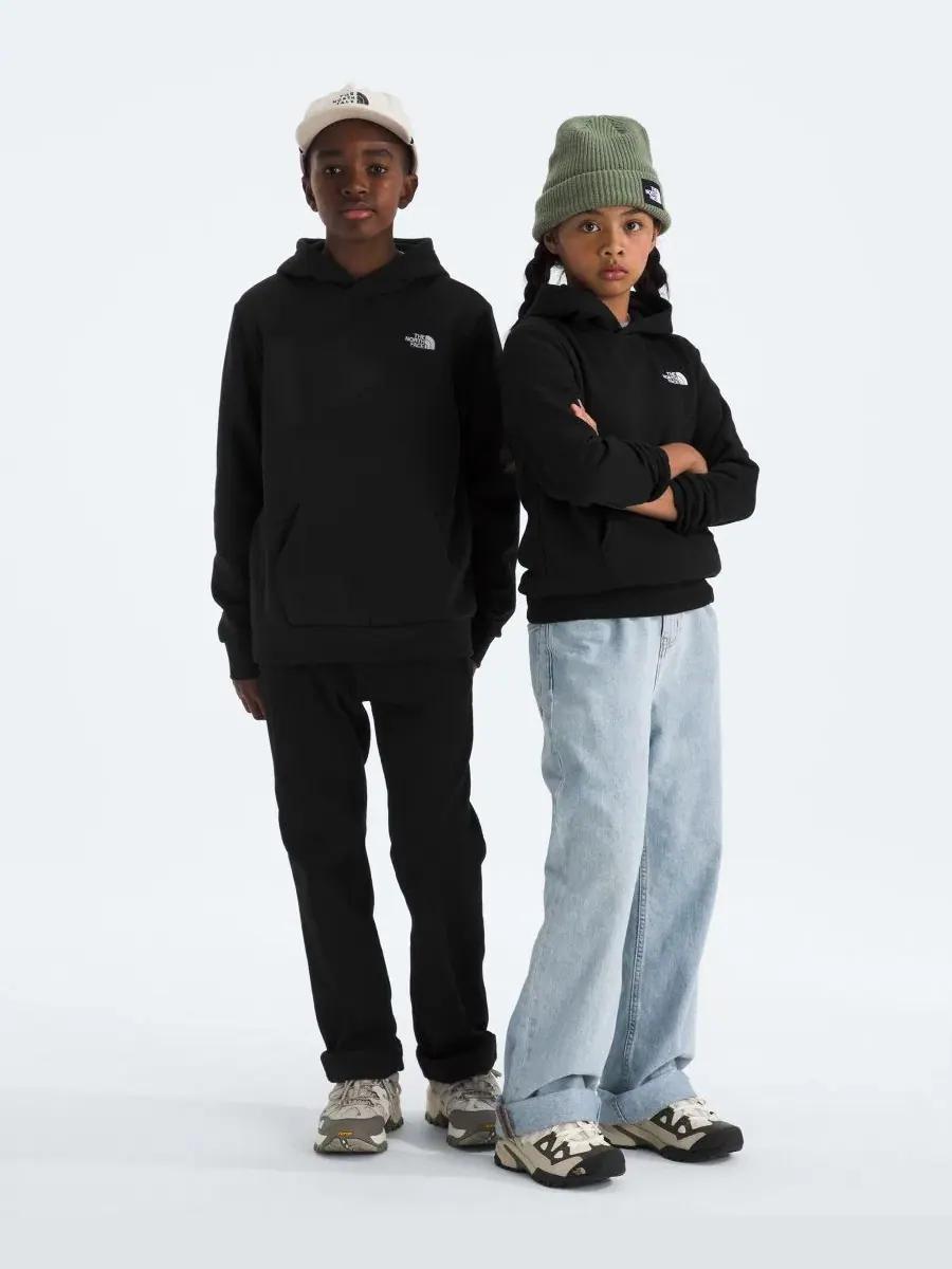 Детский худи с длинным рукавом Evolution Simple Dome The North Face