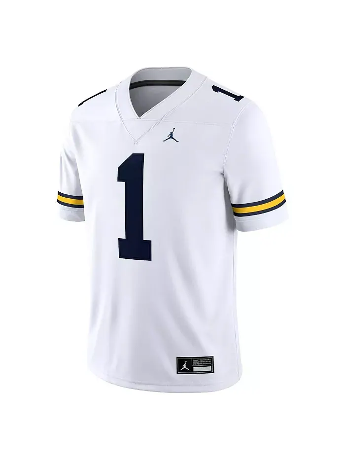 Мужская игровая футболка Michigan Wolverines 1 Jordan — изображение 2 из 5, белый