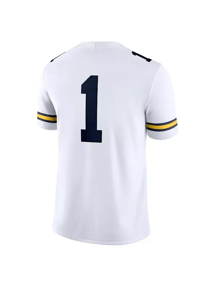 Мужская игровая футболка Michigan Wolverines 1 Jordan — изображение 3 из 5, белый
