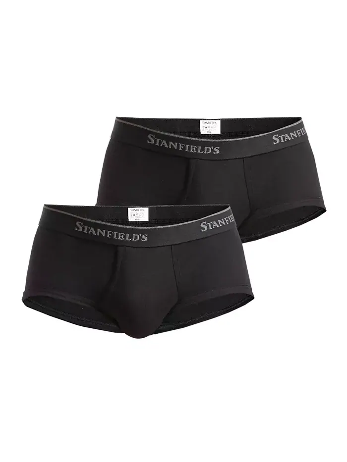 Мужские трусы Supreme из хлопкового материала, классическая посадка, комплект из 2 штук Stanfield's — изображение 1 из 2
