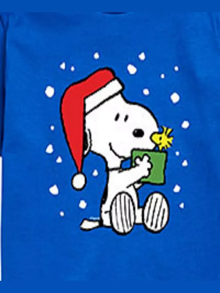 Футболка с принтом "Snoopy Present" для мальчиков старшего возраста Peanuts — изображение 3 из 3, синий