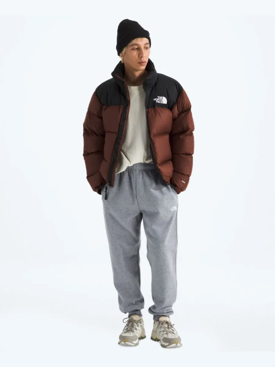 Мужские спортивные брюки Evolution Simple Dome Regular-Fit The North Face — изображение 2 из 4, бледный серый