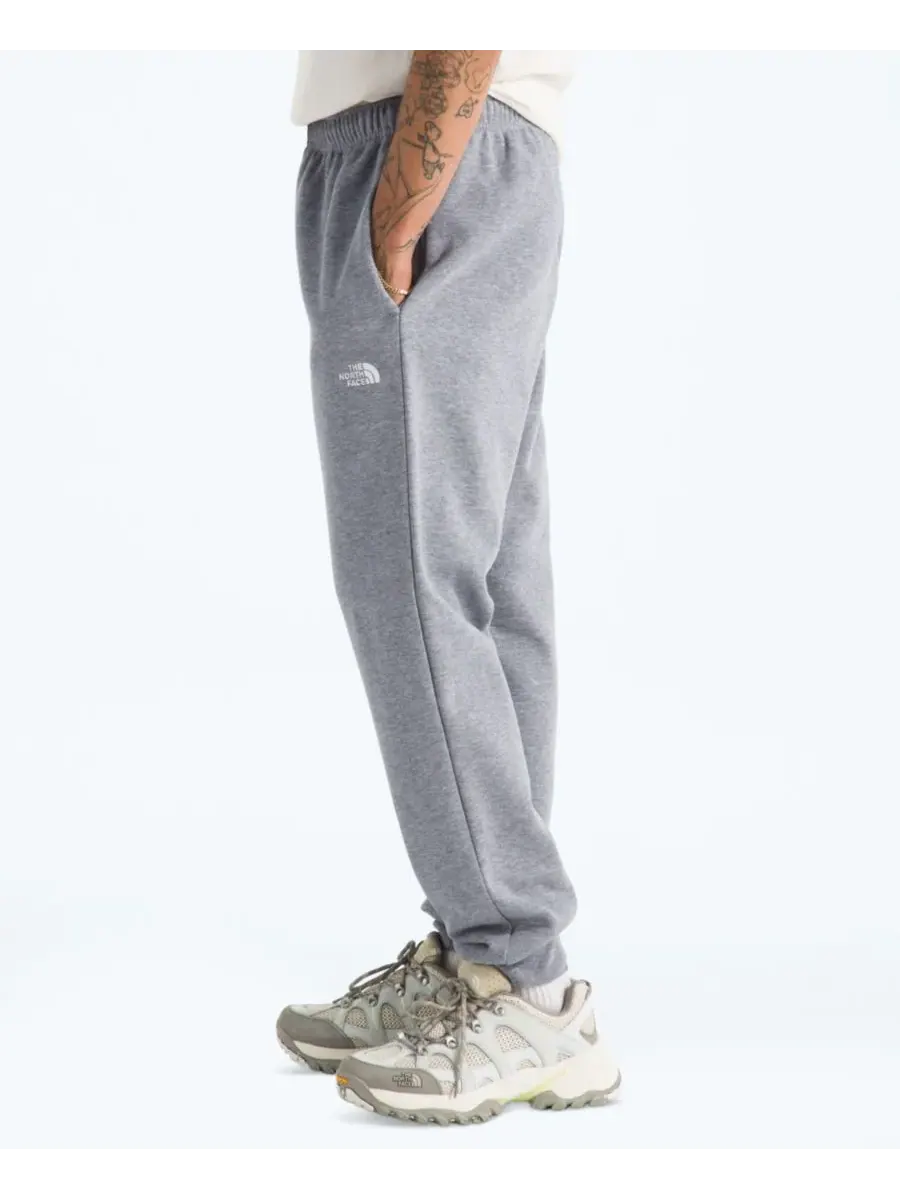Мужские спортивные брюки Evolution Simple Dome Regular-Fit The North Face — изображение 3 из 4, бледный серый