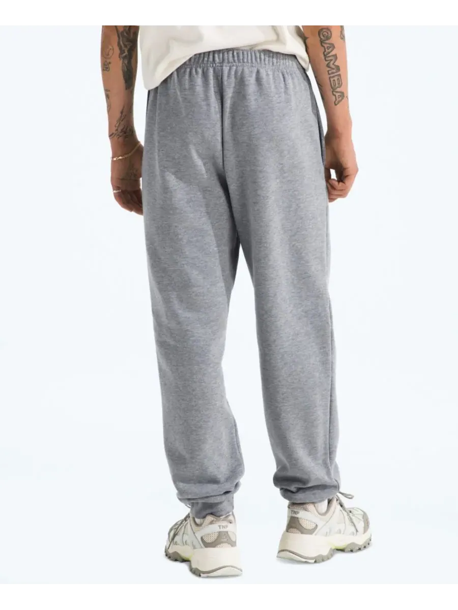 Мужские спортивные брюки Evolution Simple Dome Regular-Fit The North Face — изображение 4 из 4, бледный серый