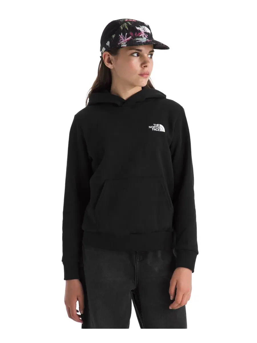 Худи с длинным рукавом, с капюшоном, с принтом The North Face