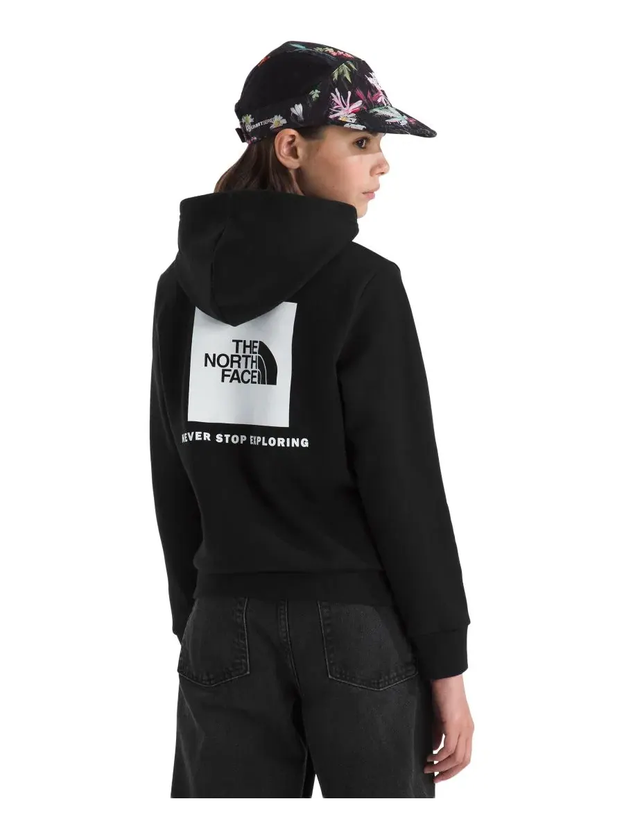 Худи с длинным рукавом, с капюшоном, с принтом The North Face — изображение 3 из 3, черный