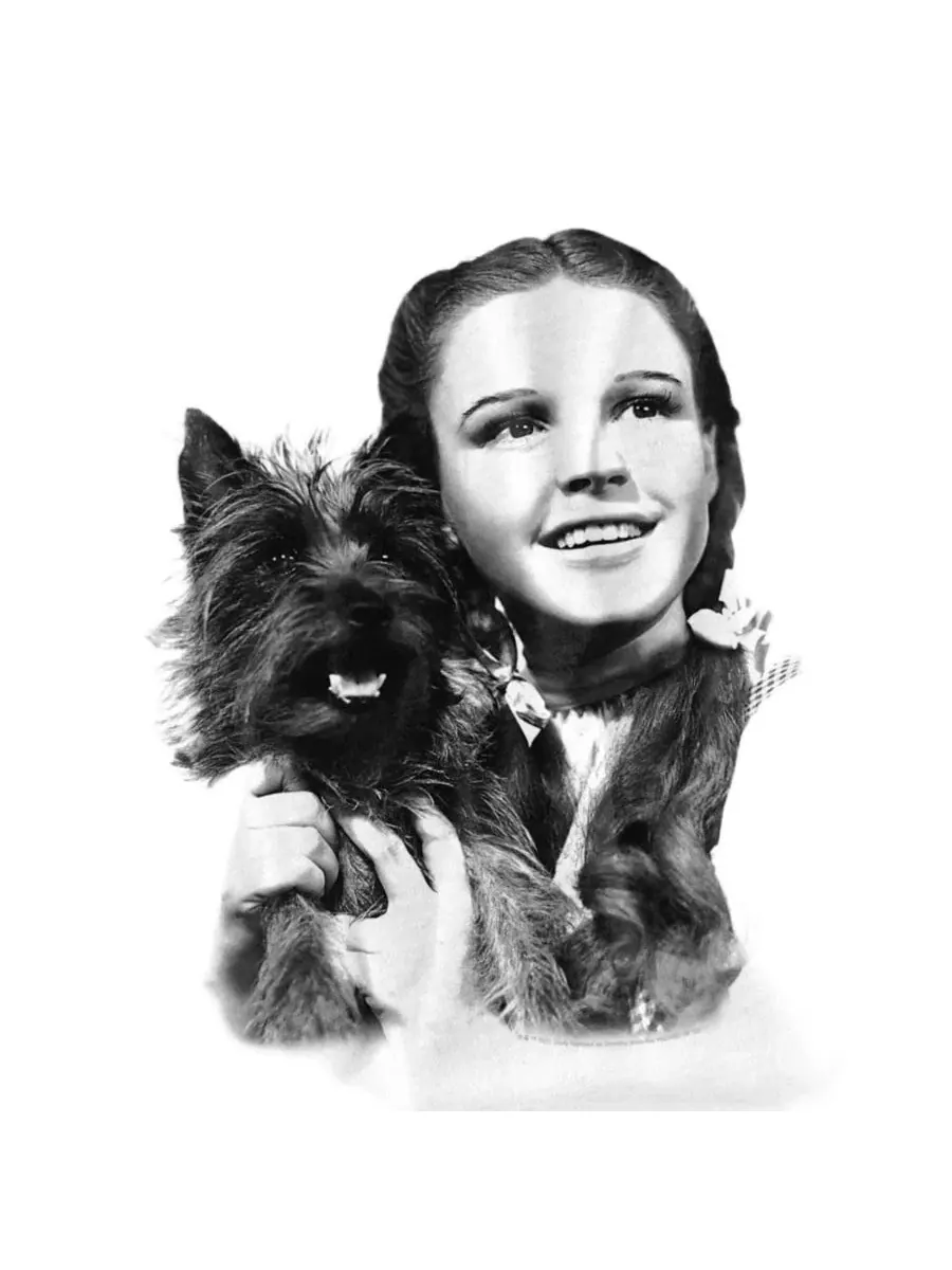 Футболка с принтом The Dorothy And Toto Wizard Of Oz — изображение 3 из 3, белый