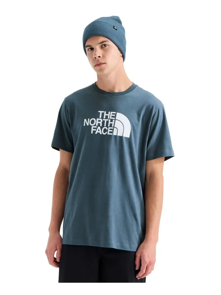 Футболка с коротким рукавом Evolution Half Dome The North Face — изображение 1 из 3, серый