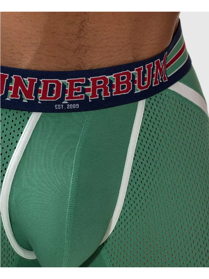 Мужские боксеры VARSITY анатомического кроя Rounderbum — изображение 5 из 5, зеленый