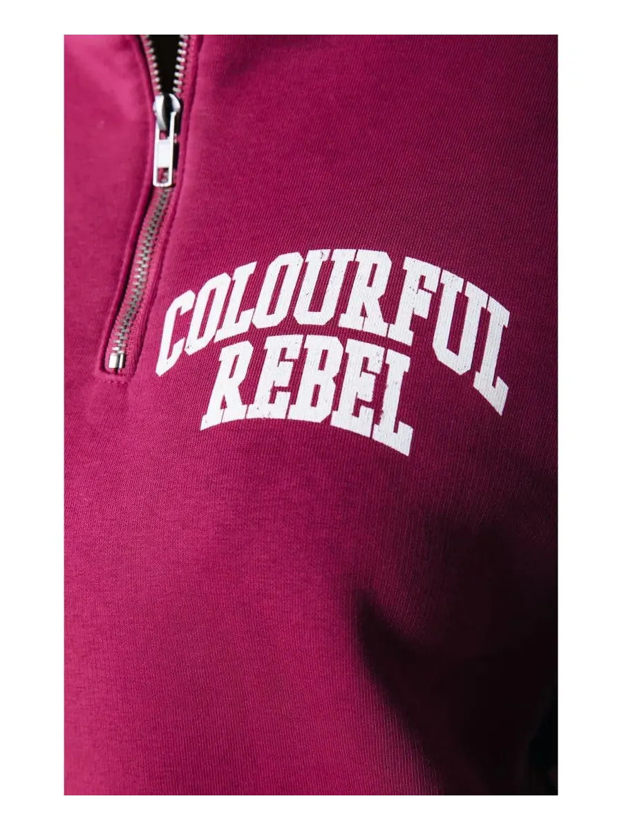 Женская толстовка с университетским логотипом, свободного кроя, на молнии Colourful Rebel — изображение 4 из 4, бордо