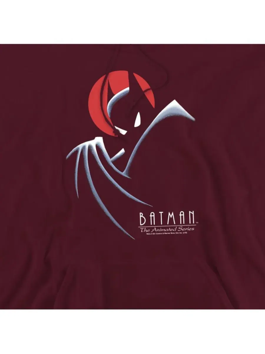 Худи на молнии с капюшоном, с длинным рукавом, с принтом Batman — изображение 2 из 3, коричневый