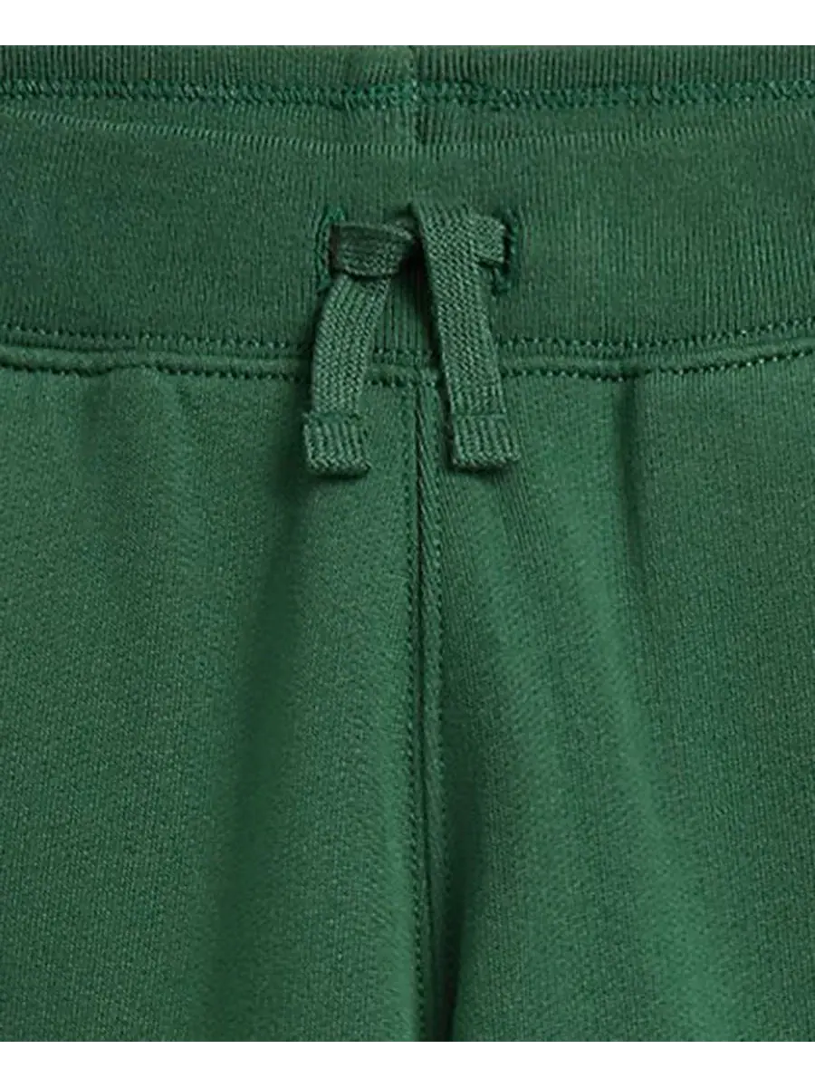 Детские флисовые спортивные брюки с эластичным поясом и вышивкой Polo Ralph Lauren — изображение 3 из 3, зеленый