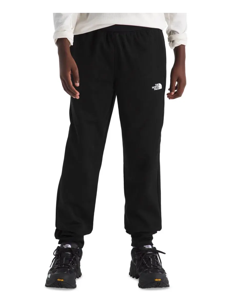 Спортивные брюки из флиса Performance Fleece Joggers The North Face