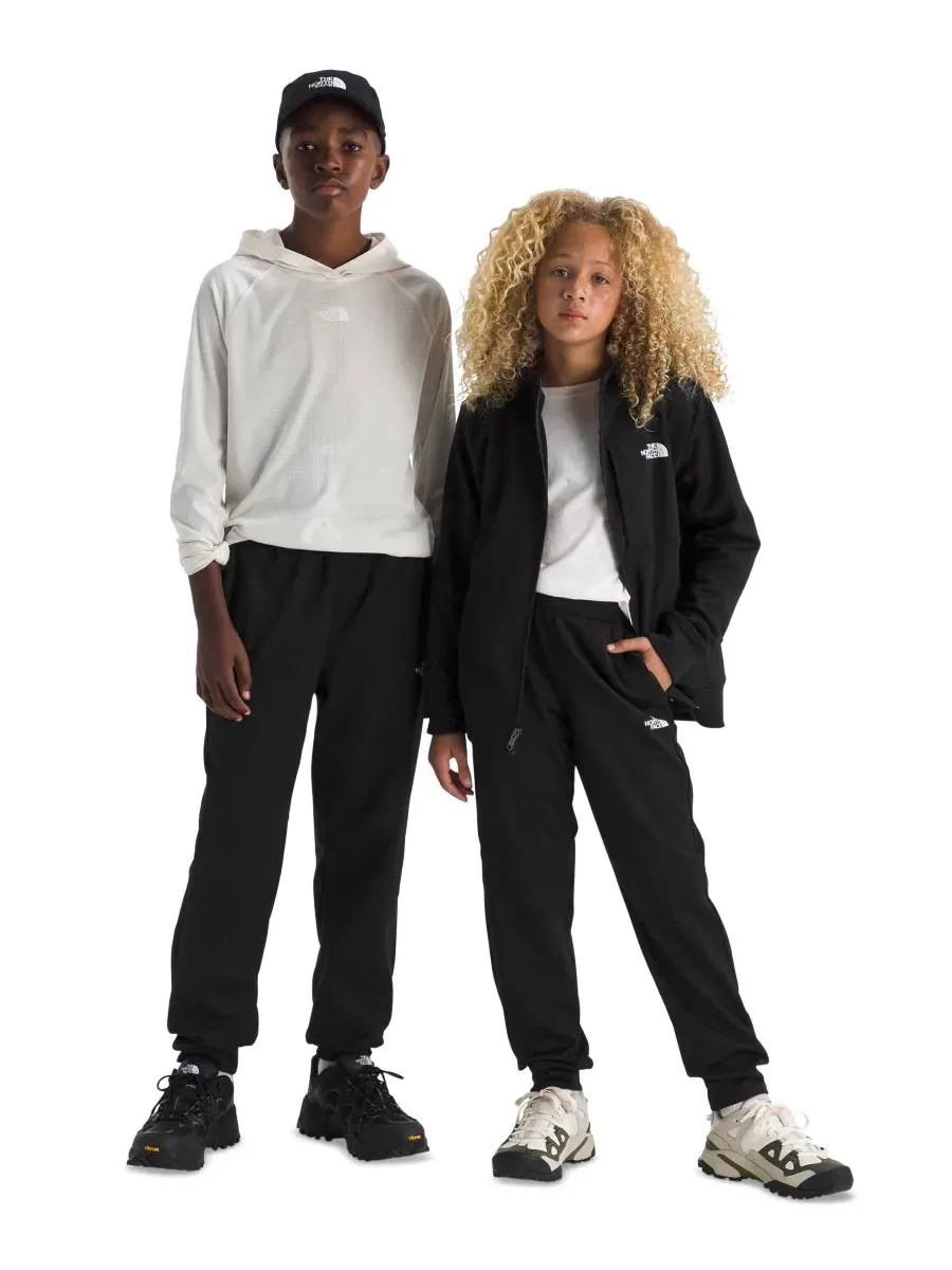 Спортивные брюки из флиса Performance Fleece Joggers The North Face — изображение 2 из 5, черный