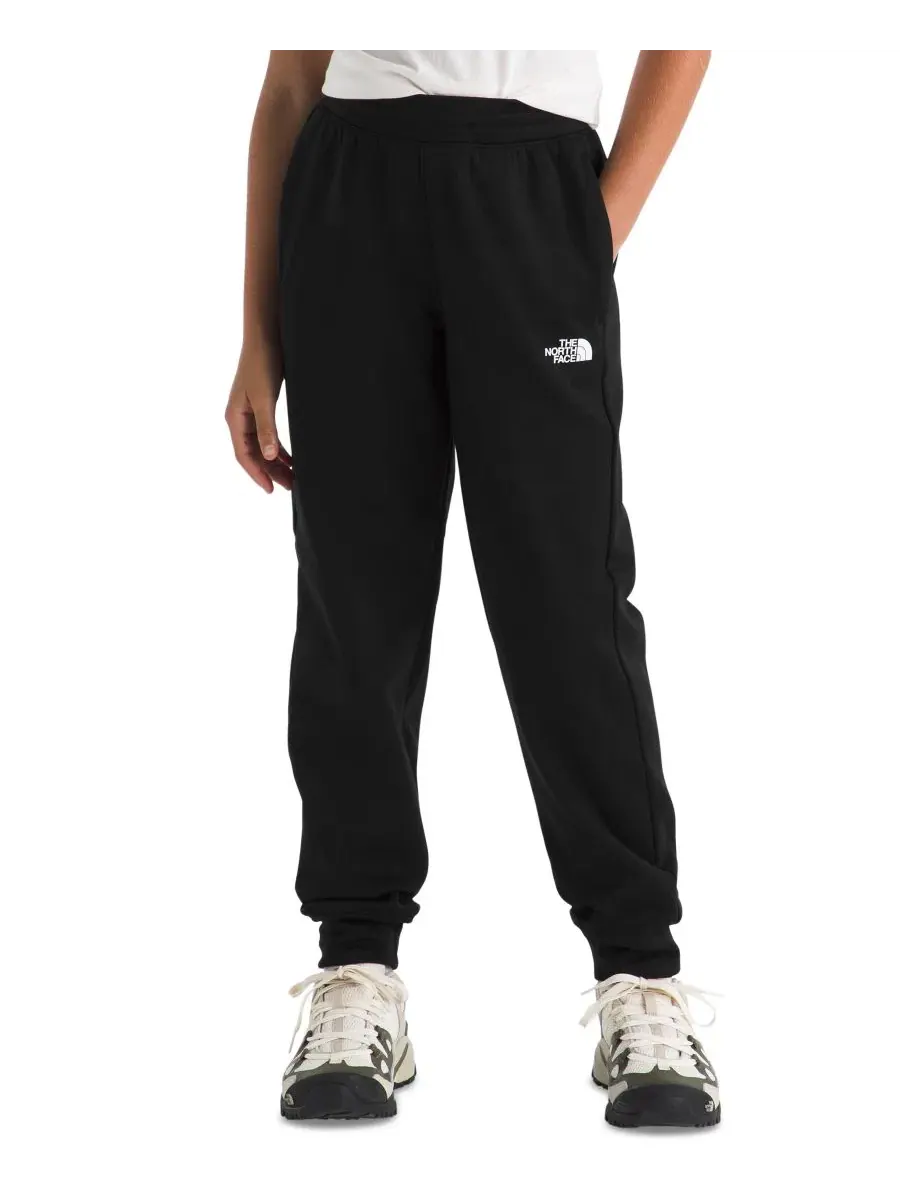 Спортивные брюки из флиса Performance Fleece Joggers The North Face — изображение 3 из 5, черный