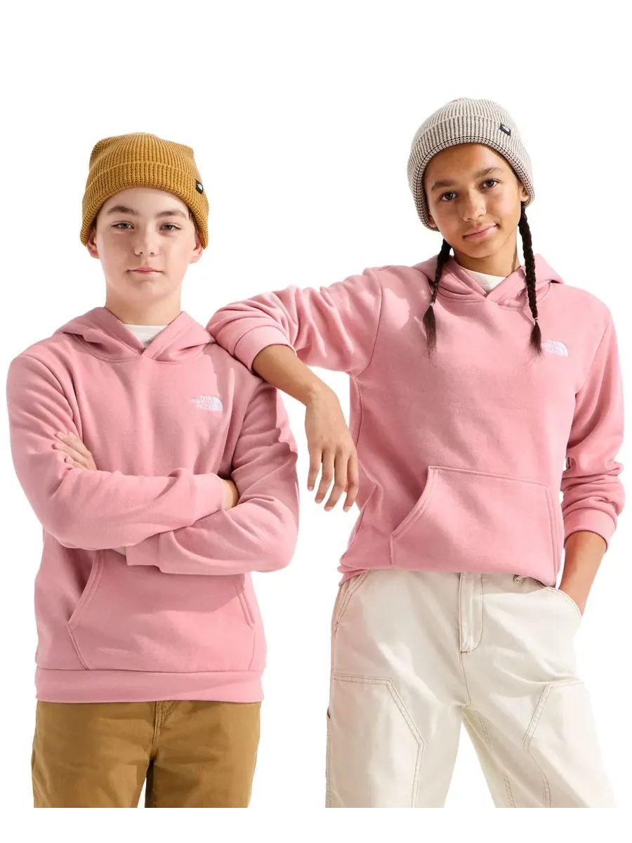 Худи с капюшоном Evolution Simple Dome с длинным рукавом The North Face