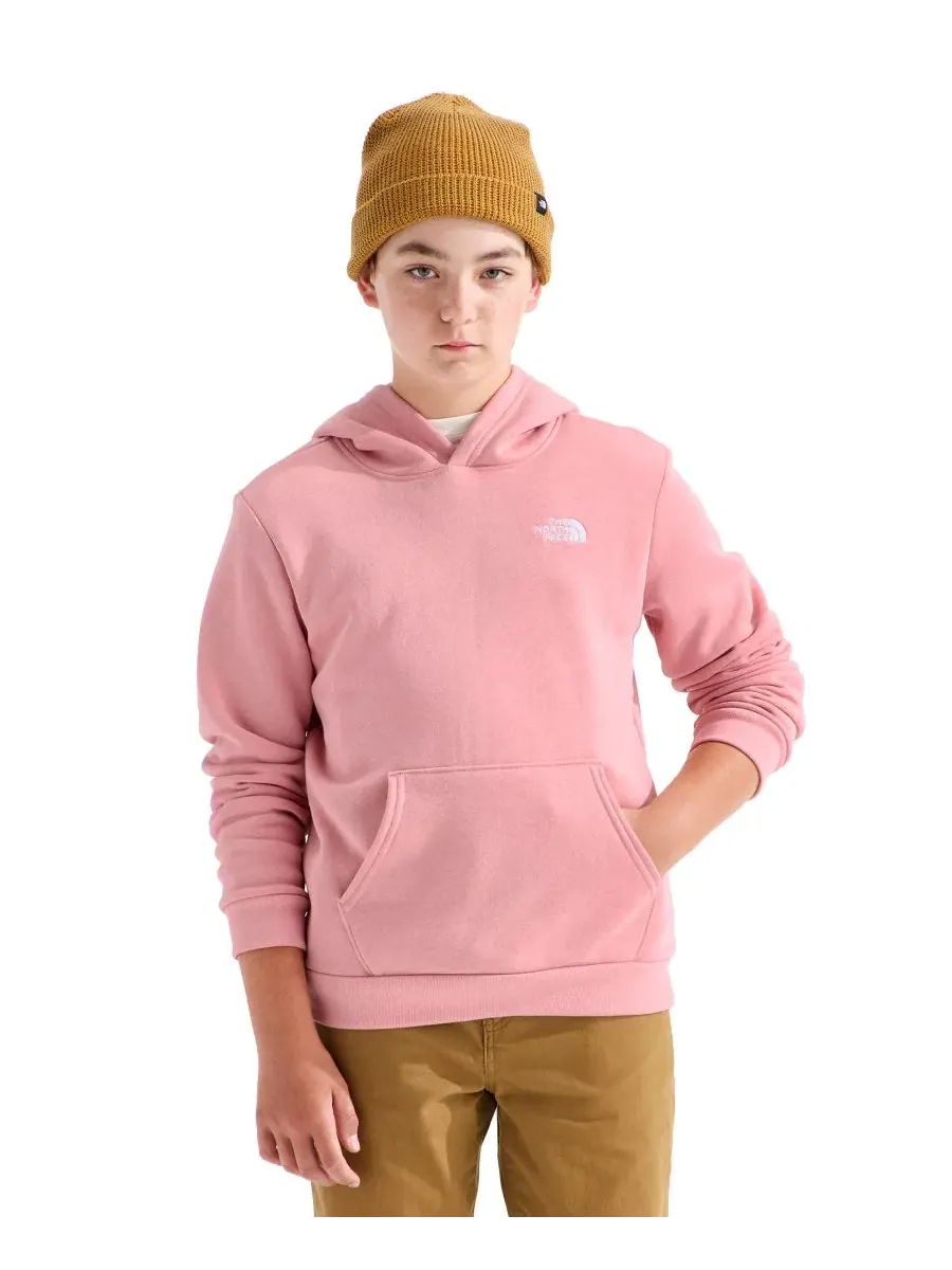 Худи с капюшоном Evolution Simple Dome с длинным рукавом The North Face — изображение 3 из 4, розовый