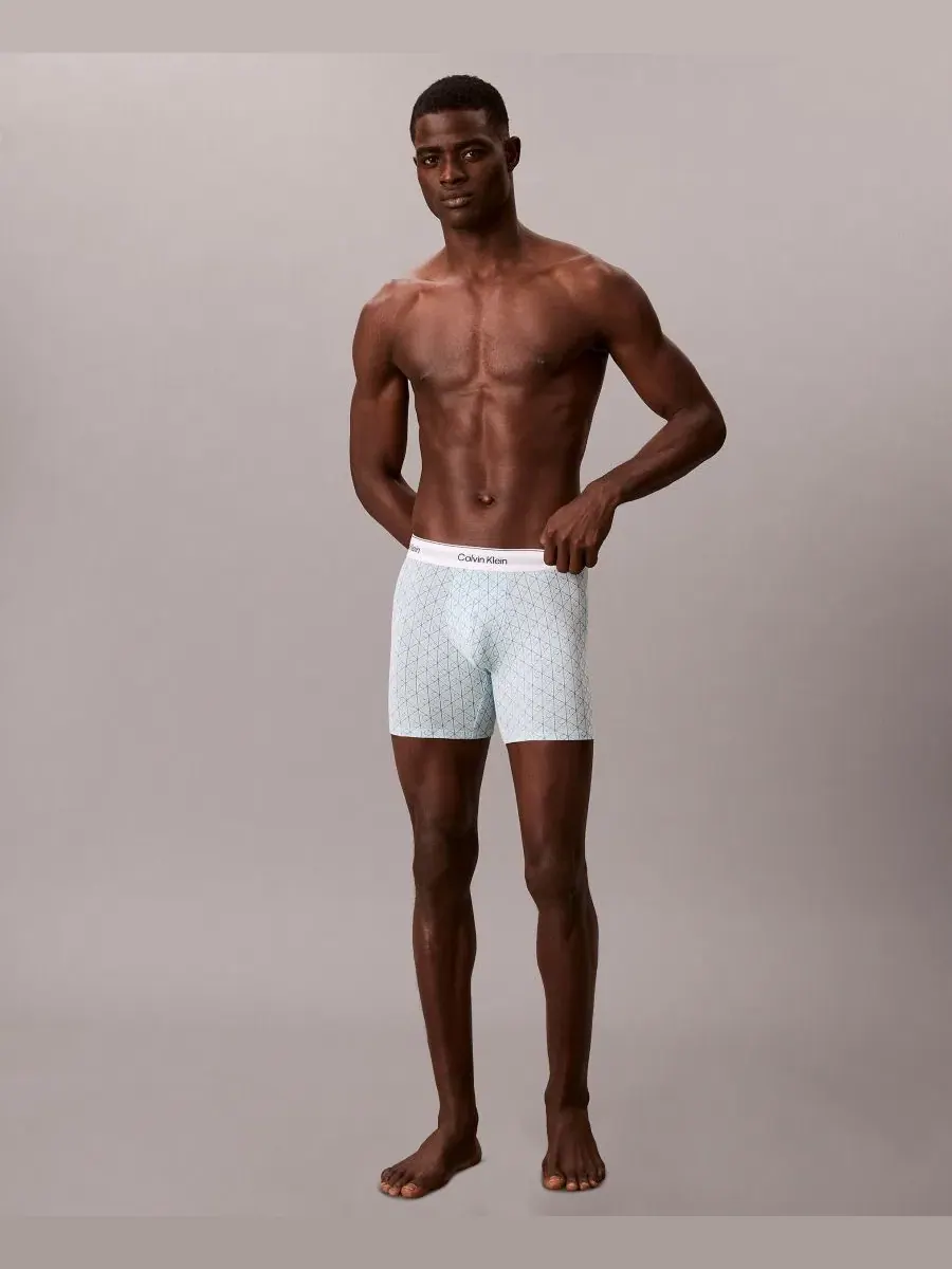 Трусы боксеры Calvin Klein Icon Cotton Stretch, 3-шт — изображение 2 из 6, серый//синий