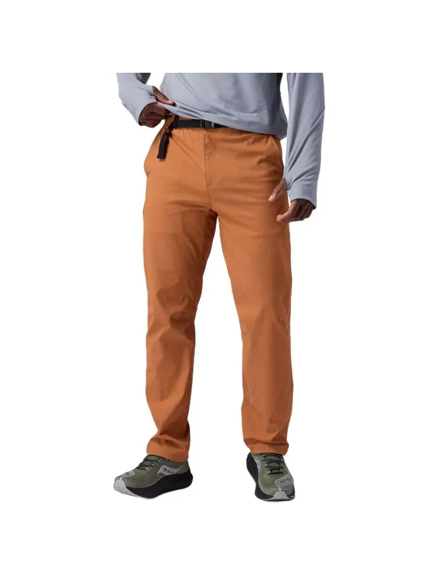 Мужские брюки из рипстопа Wasatch Ripstop Pant Backcountry — изображение 1 из 6, сиенный