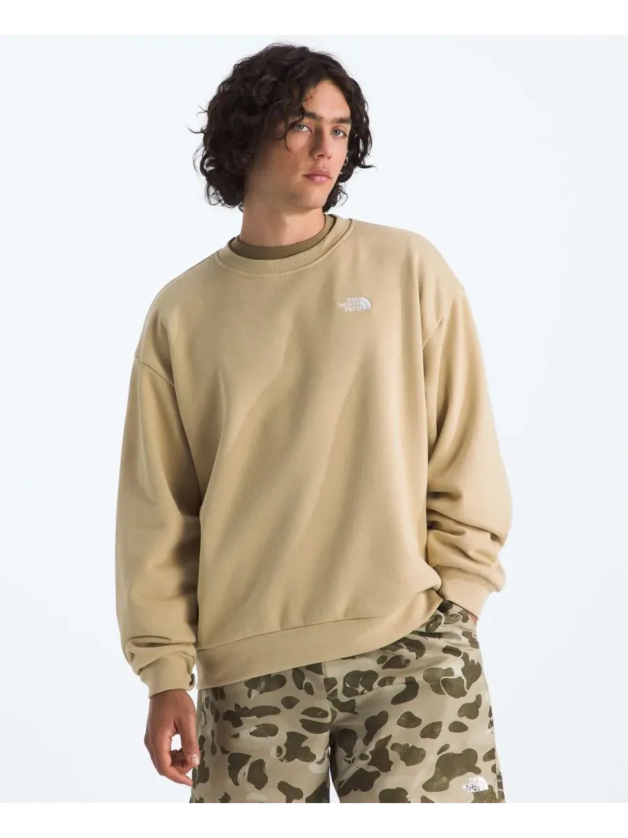 Мужская толстовка Evolution Simple Dome Oversized The North Face, хаки stone