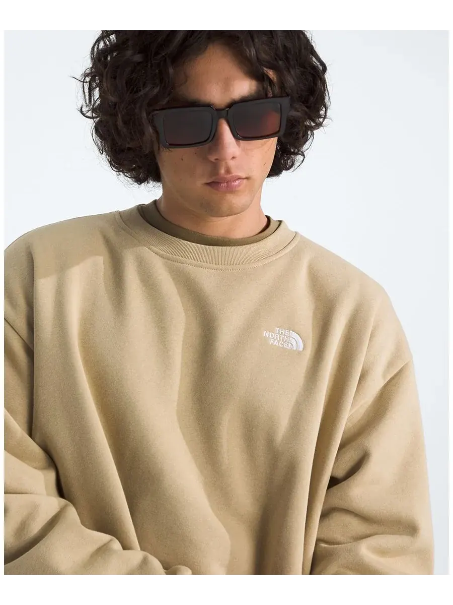 Мужская толстовка Evolution Simple Dome Oversized The North Face, хаки stone — изображение 2 из 3
