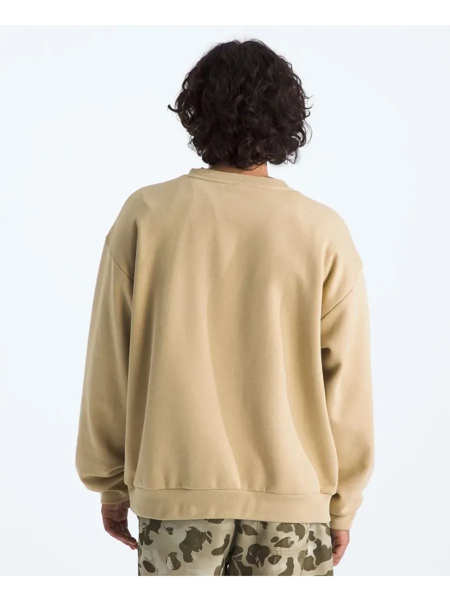 Мужская толстовка Evolution Simple Dome Oversized The North Face, хаки stone — изображение 3 из 3