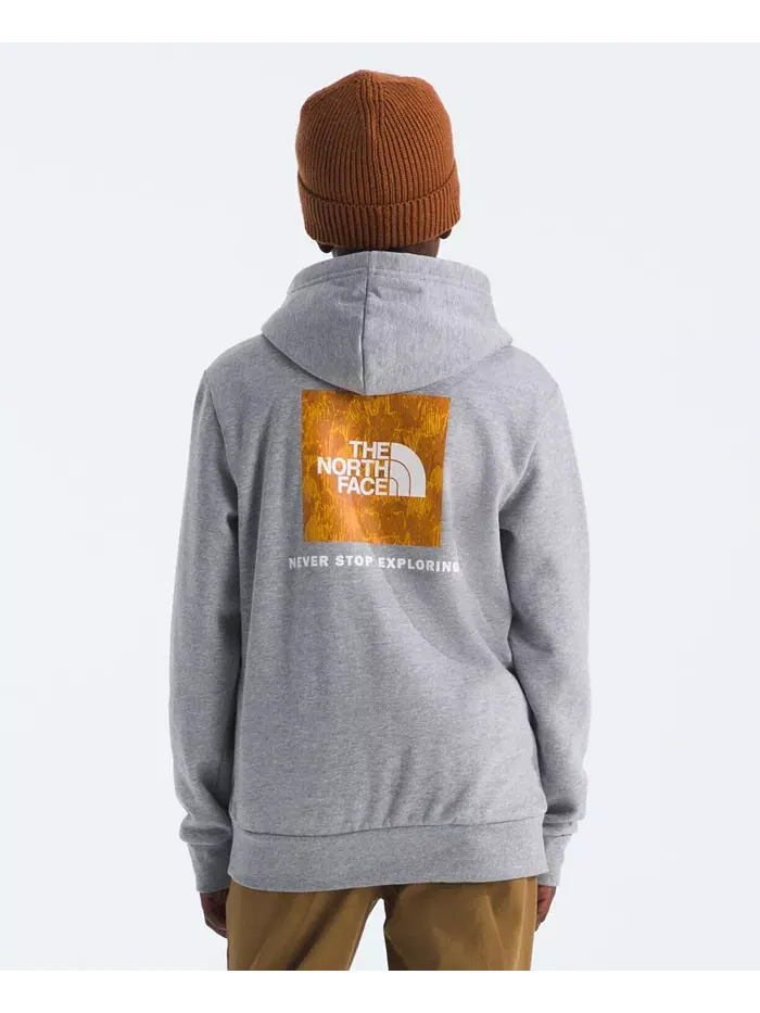 Большие мальчики подростковая толстовка Evolution на молнии The North Face — изображение 2 из 3, серый