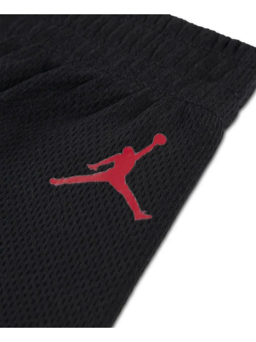 Детские шорты Arch Mesh для мальчиков 2T-4T Jordan — изображение 5 из 5, черный