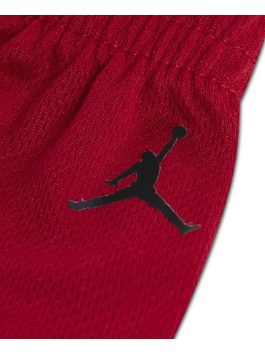Детские шорты Arch Mesh для мальчиков 2T-4T Jordan — изображение 3 из 5, красный